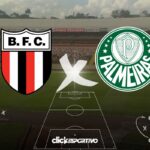 Botafogo-SP x Palmeiras