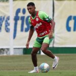 Luis Guilherme, meio-campista do Palmeiras (Foto: César Greco/SEP)