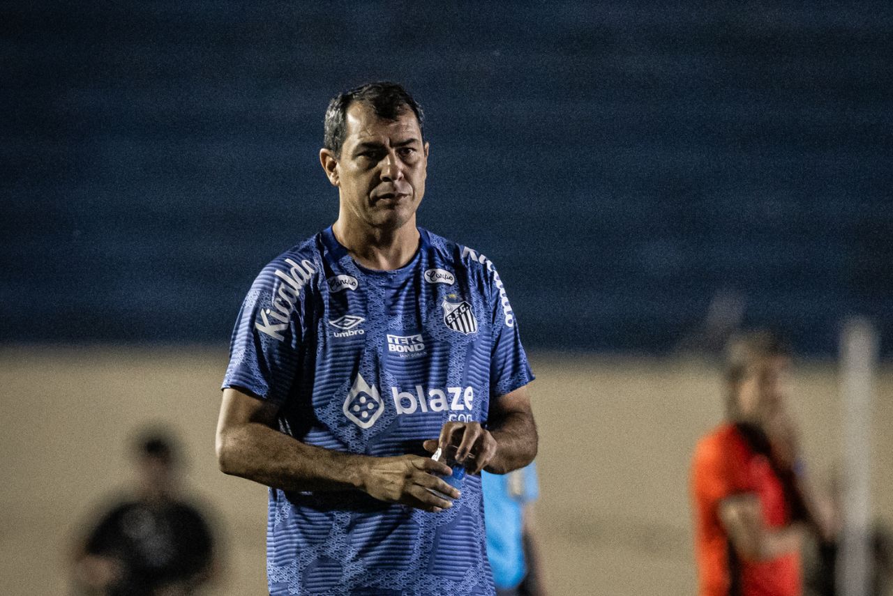 Fábio Carille durante derrota do Santos