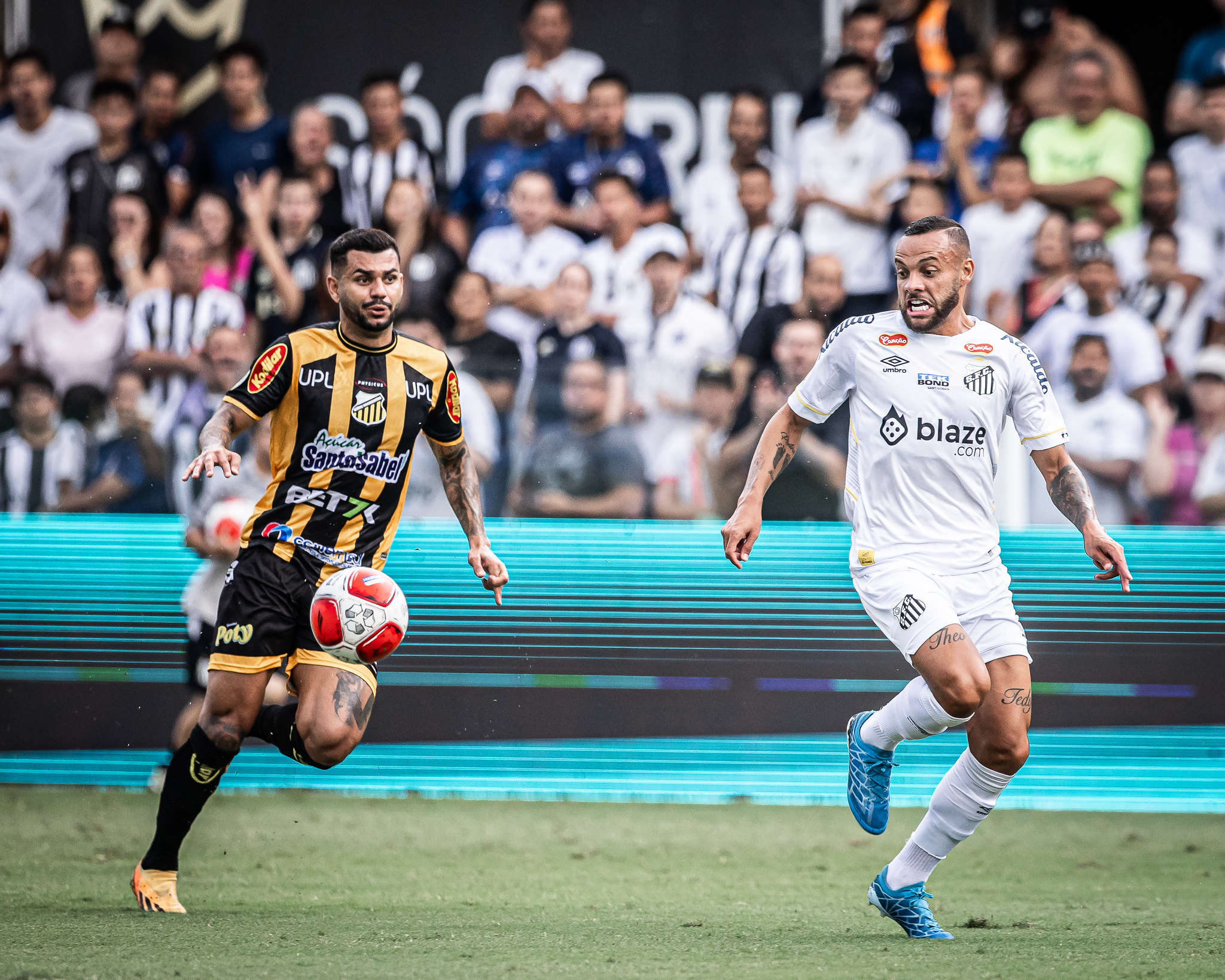 onde assistir ao vivo