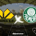 Criciúma x Palmeiras