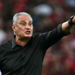 Tite foi atingido por torcedor do Palmeiras no Allianz Parque (Foto: Mauro Pimentel/AFP)