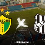 Brusque x Ponte Preta