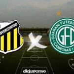 Novorizontino X Guarani