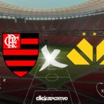 Flamengo x Criciúma - Série A 2024