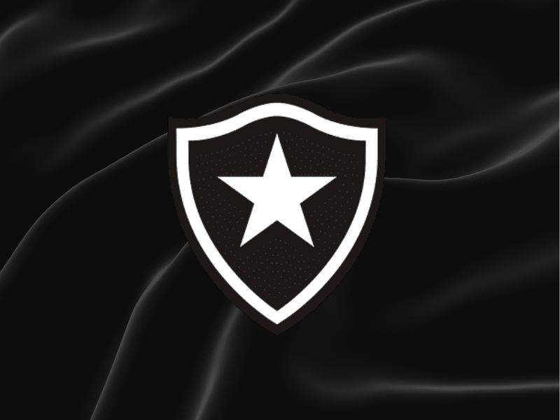 Estádio de futebol com brasão do Botafogo, representando a busca por um novo treinador.