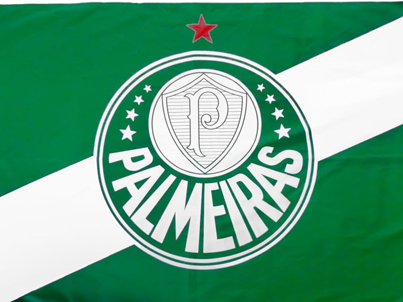 Torcida do Palmeiras celebrando em estádio iluminado, com camisas e bandeiras.