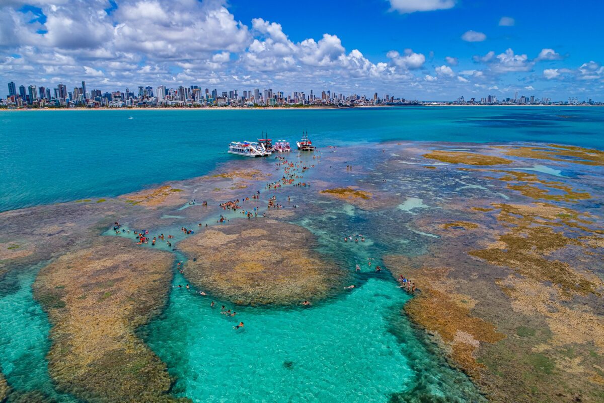 Explore as Maravilhas Submersas de Picãozinho Explore as Maravilhas Submersas de Picãozinho