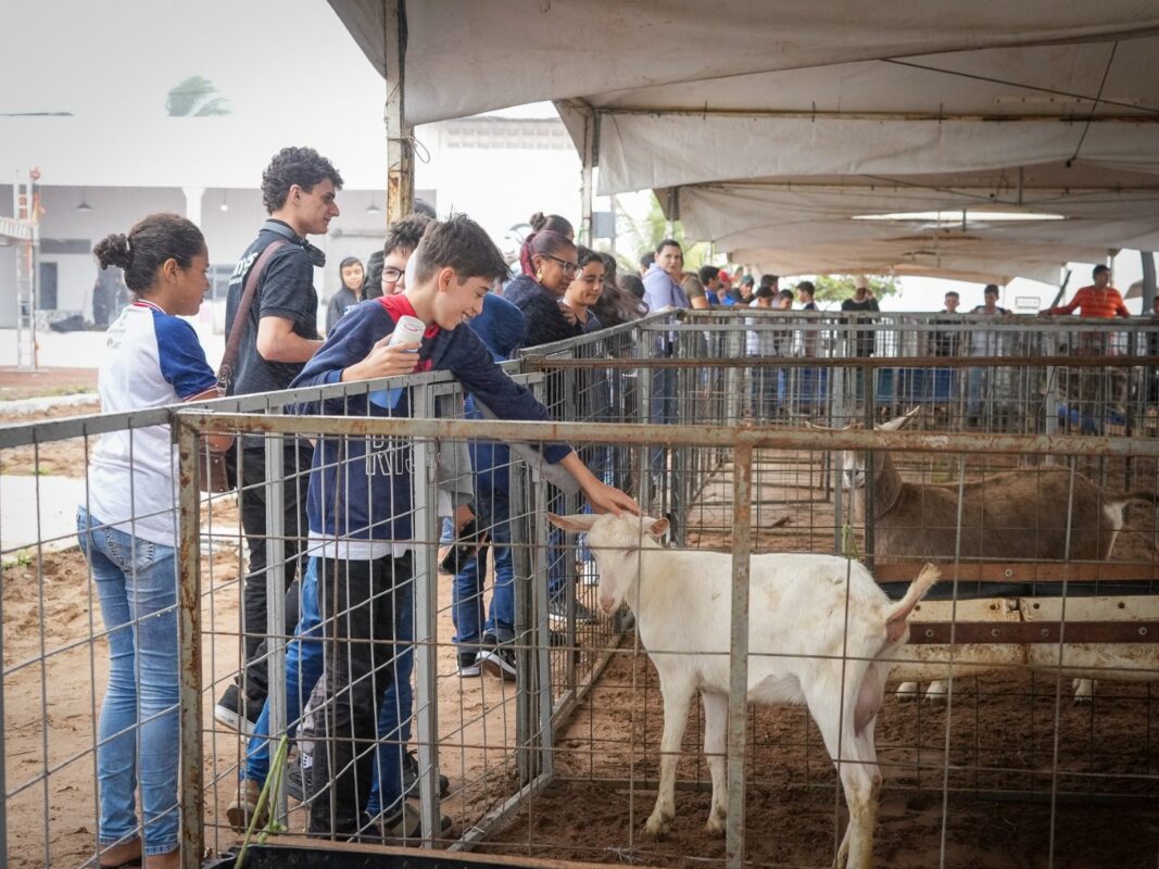 Feira Berro do Bode retorna a Esperança após 20 anos Feira Berro do Bode retorna a Esperança após 20 anos